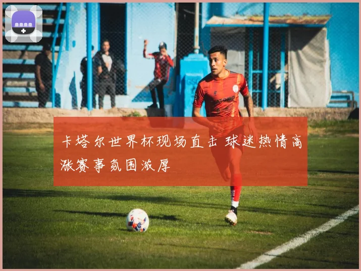卡塔尔世界杯现场直击 球迷热情高涨赛事氛围浓厚
