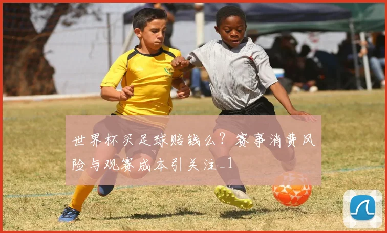 世界杯买足球赔钱么?赛事消费风险与观赛成本引关注_1