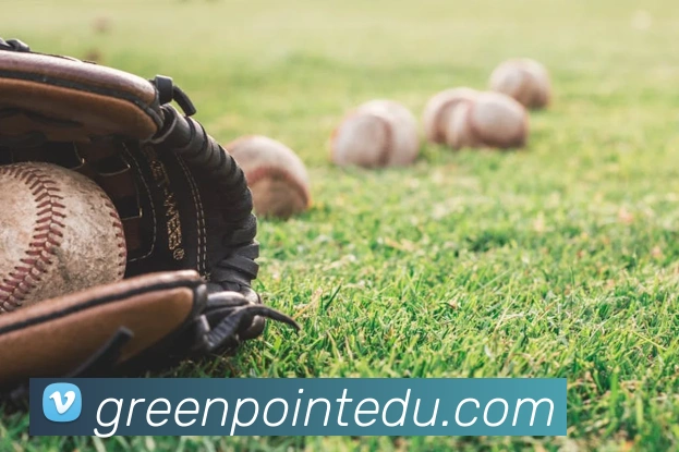 世界杯官网登录appAPP 封面图